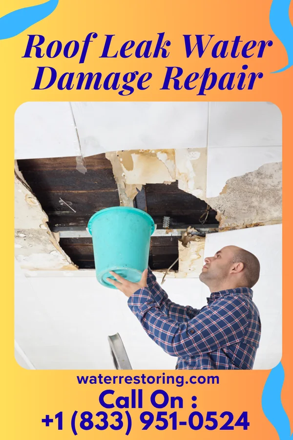 Roof Leak Water Damage Repair in Calico Rock, AR